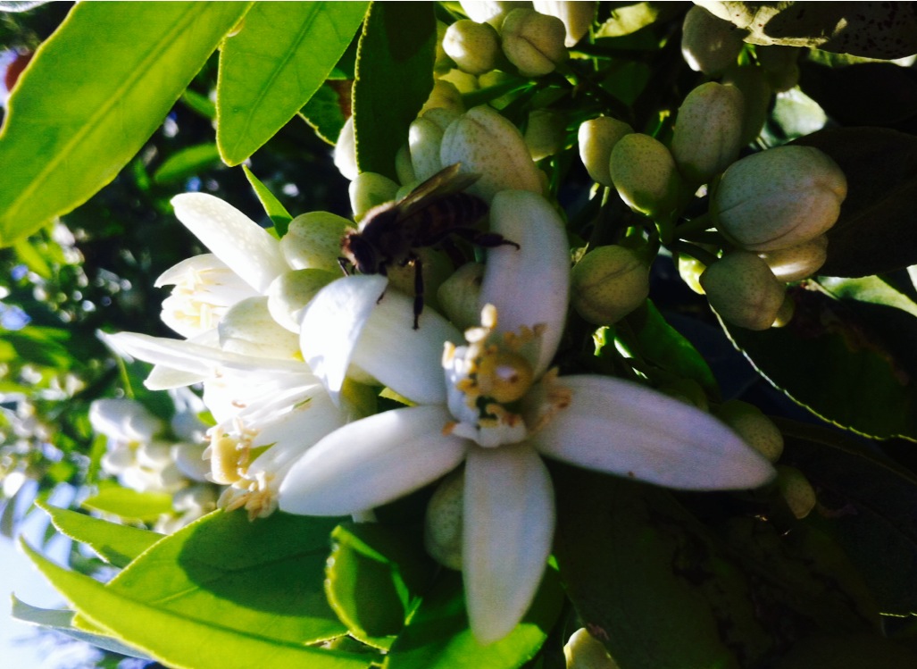 image 0 02 05 0dbe208cf484aaeaab941dc7744cd58644efebad884b02d523e585724f774454 V