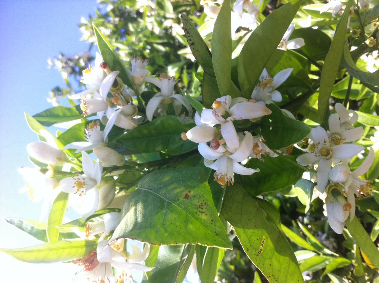 image 0 02 05 1d5b78ab45bd1d3c0c48e116a81c8b54b56fd1b203a3ac4033f3a80198551945 V