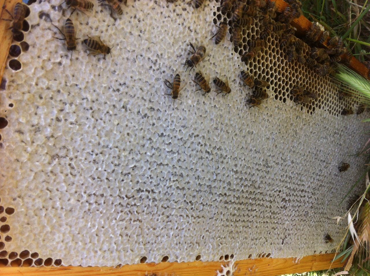 image 0 02 05 bf5af383a734263ef72ba4e0c20ce498f081c38d930afbf01a5011c065c3812a V