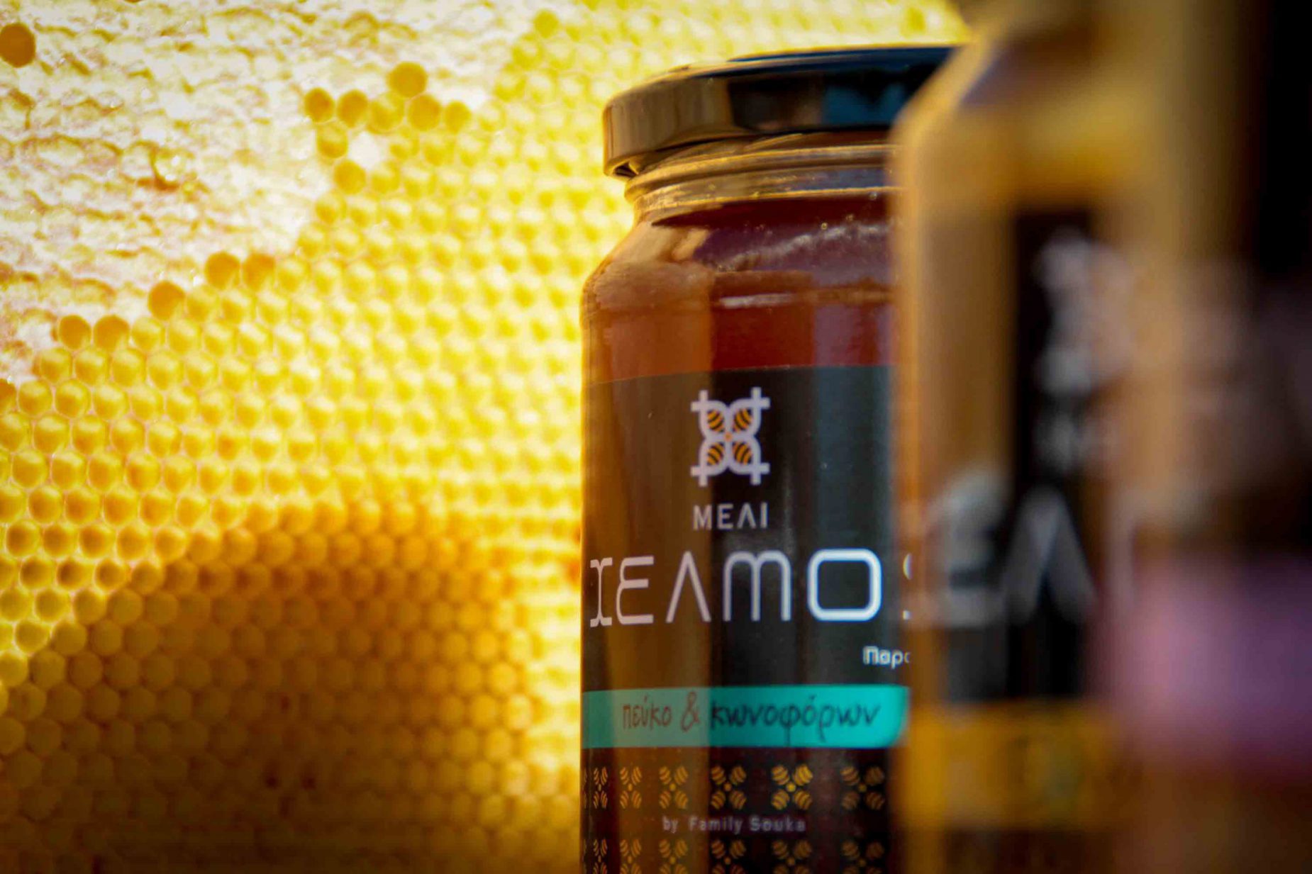 Μέλι και Πεπτικό Σύστημα: Παλινδρόμηση, Εκκολπώματα και Τι Δείχνει η Έρευνα