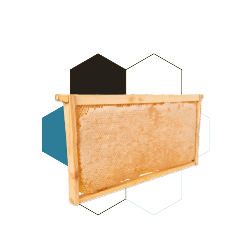honey comb