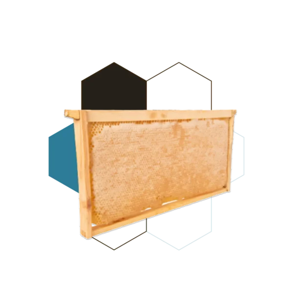 honey comb